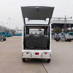New energy 3 wheel delivery car triciclo electrico trike electric rickshaw for adulto
