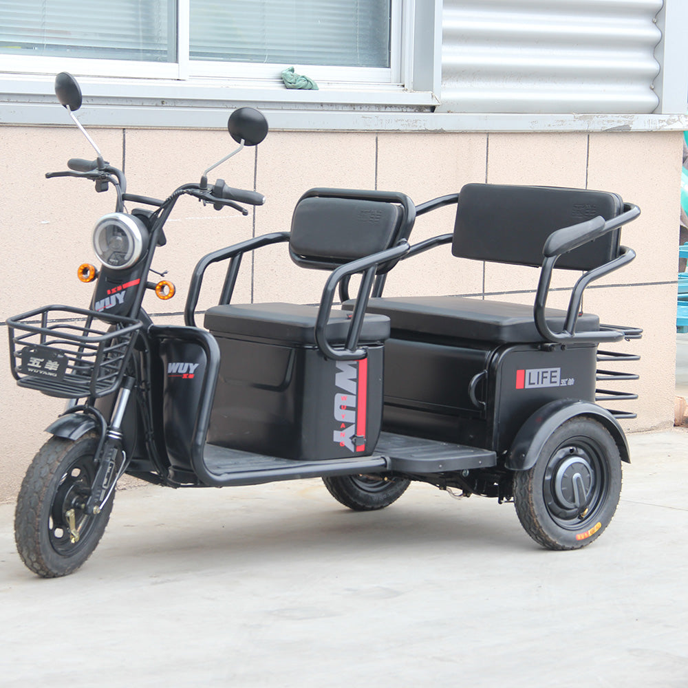 Brand new 600w Three wheels Electric Bicycle E-Trike Scooter folding electric Tricycle for Adults
