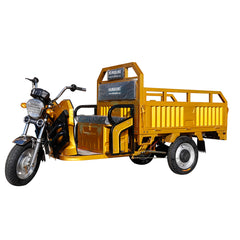 E-Trikes 3 wheel Cargo Electric Tricycles Motorcycle Three Wheel Adult