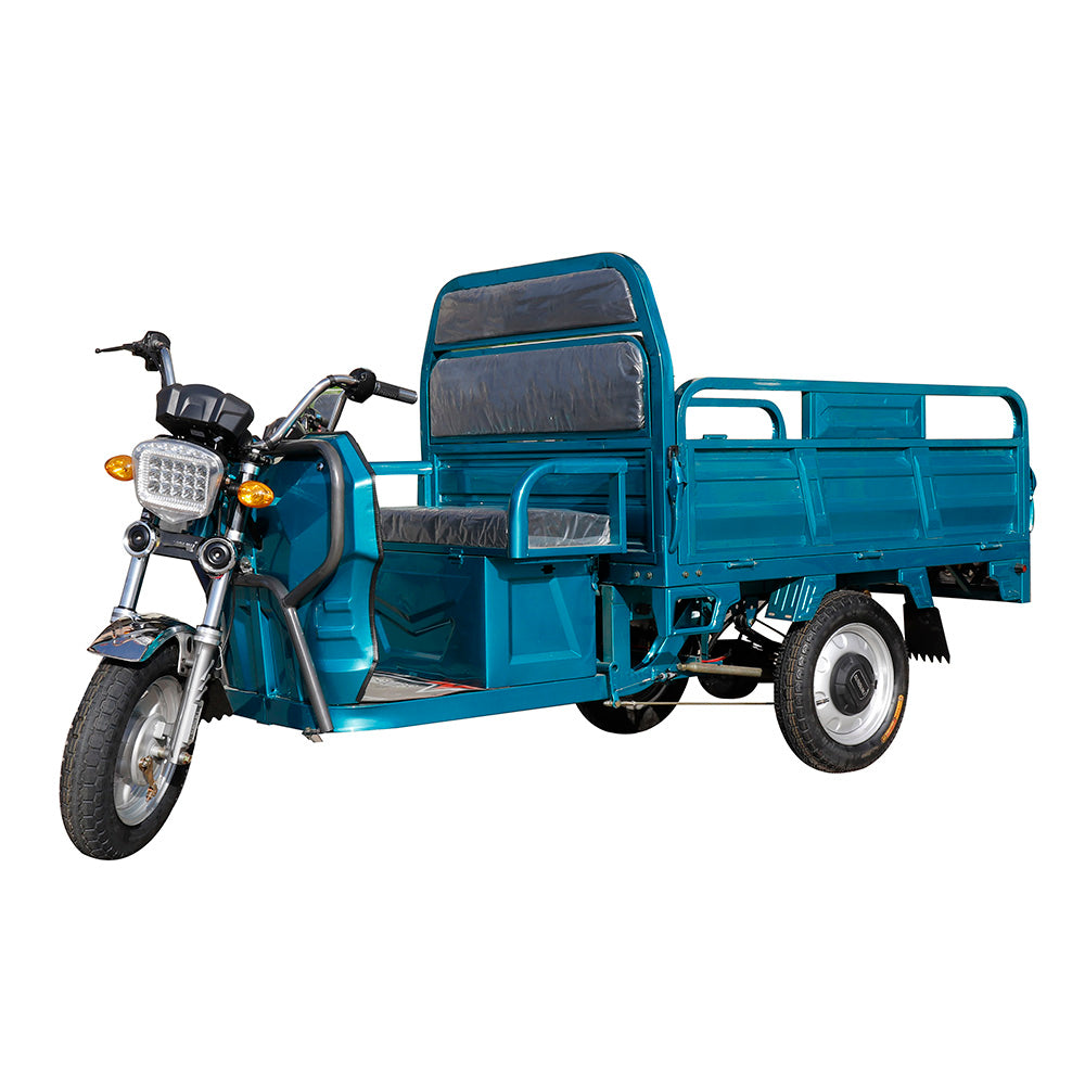 E-Trikes 3 roues Cargo Tricycles électriques moto trois roues adulte 