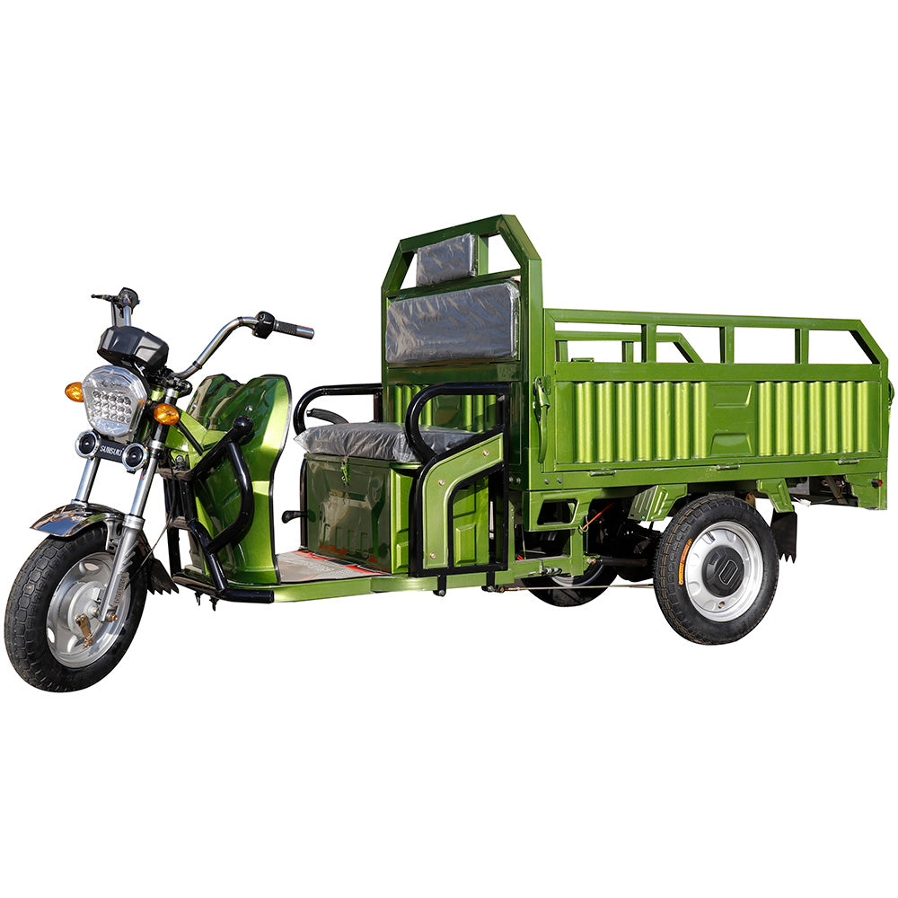 E-Trikes 3 roues Cargo Tricycles électriques moto trois roues adulte 